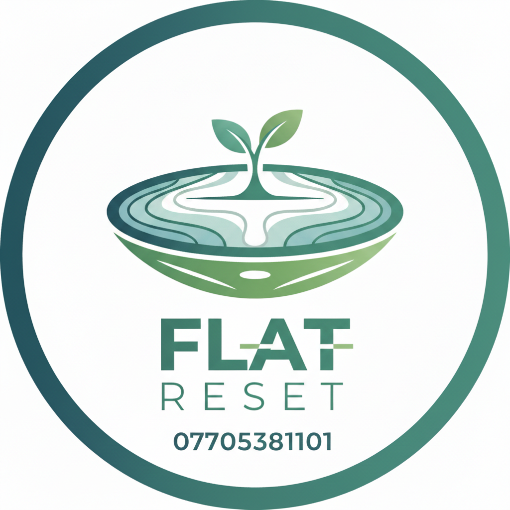 برنامج flat reset